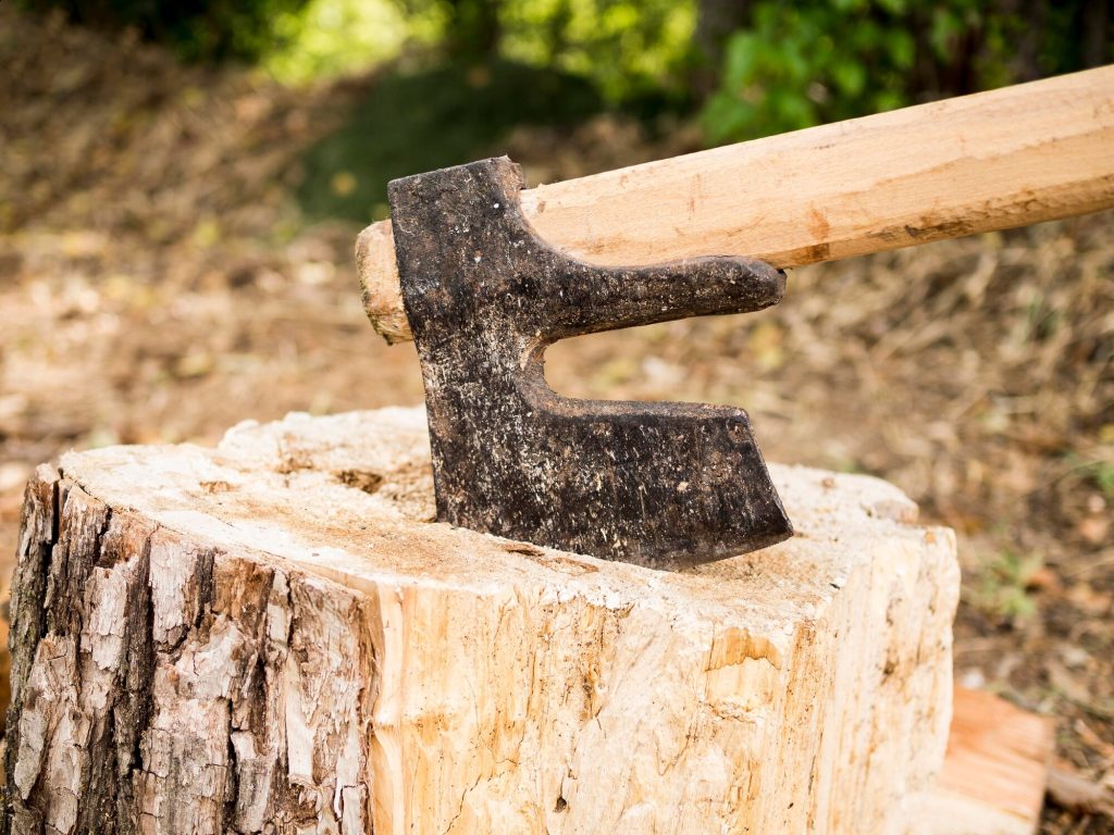 Stump Grinding in Brisbane