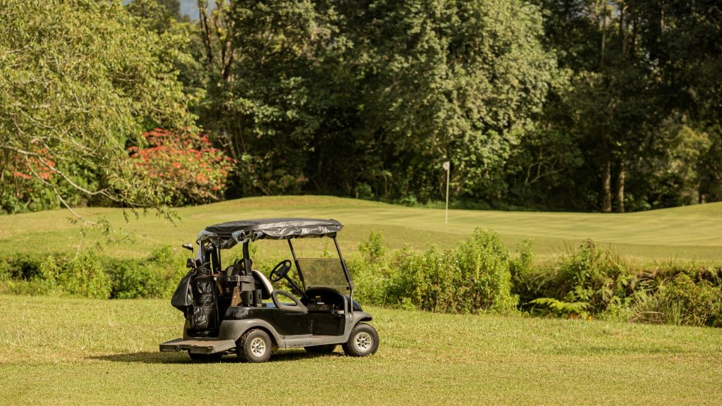 Golf cart