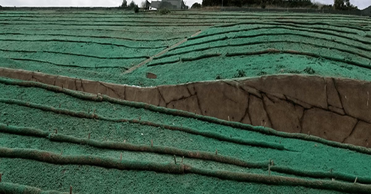 Hydromulching Brisbane: What Projects Is It Suitable For?
